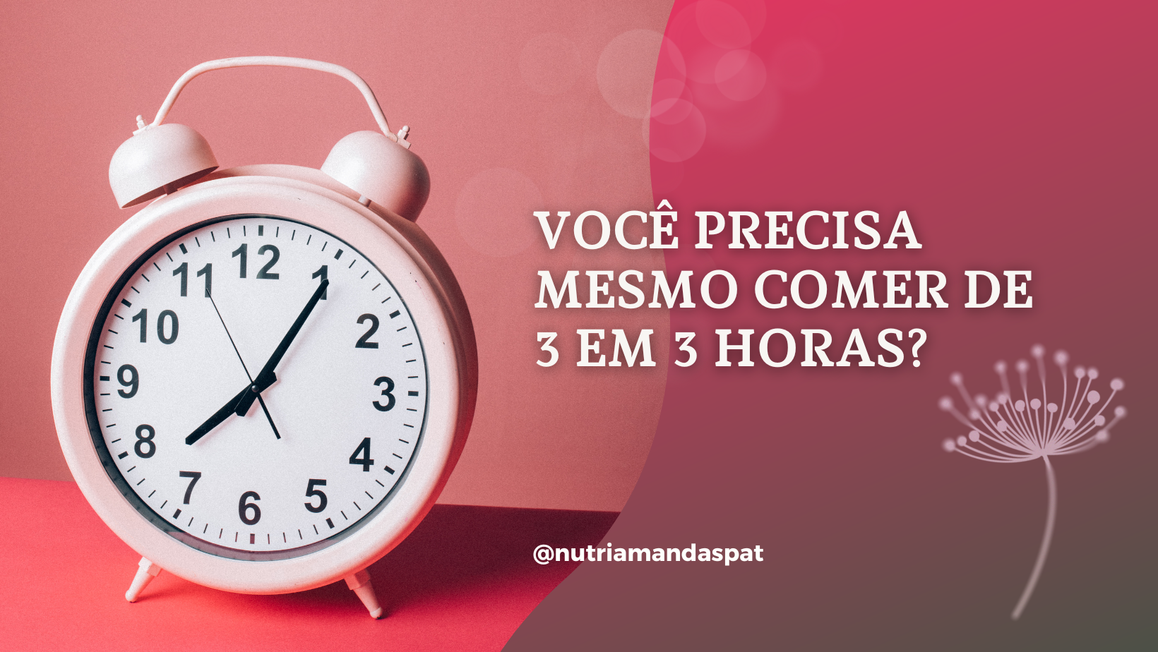Comer de 3 em 3 horas? Será? – Amanda Spat